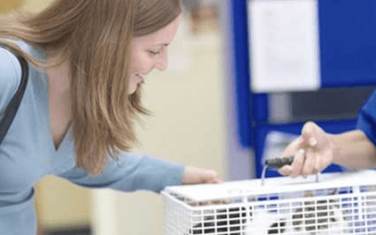 How Cats Protection worked with Give as you Live