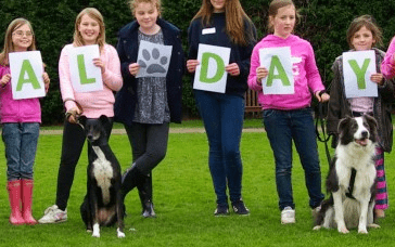 How Cheltenham Animal Shelter worked with Give as you Live