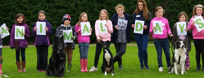 Cheltenham Animal Shelter case study