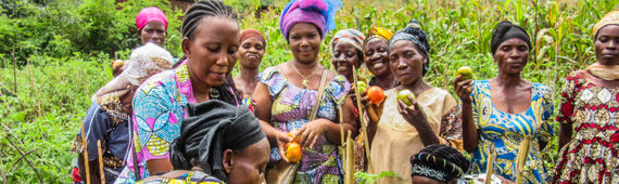 A clay brick house for women's projects