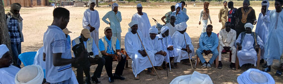 Seeing it through: peacebuilding in the Sudan/Chad borderland.