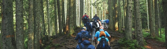 The Deepbridge Challenge 