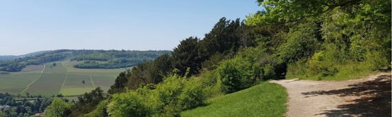 Blick Rothenberg Annual Charity Walk- North Downs 2026