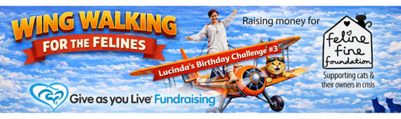 Lucinda's Birthday Challange 