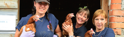 How British Hen Welfare Trust worked with Give as you Live
