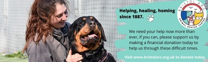 How Bristol Animal Rescue Centre worked with Give as you Live