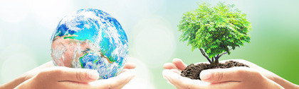 How The Forest Of Marston Vale Trust worked with Give as you Live